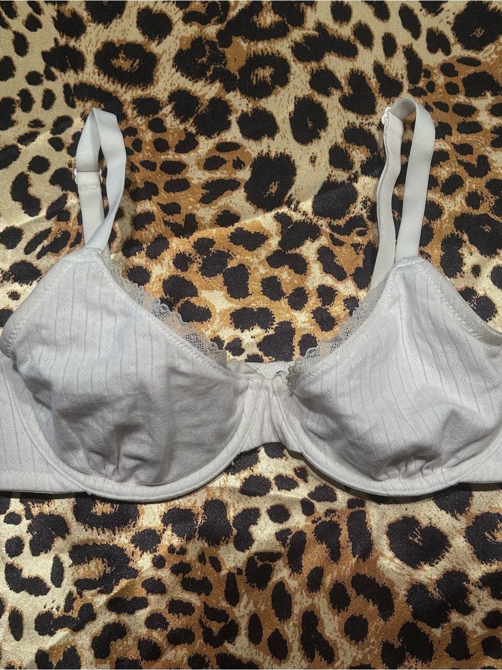 Wild Fable White Pointelle Lace Trim Unlined Underwire Bra